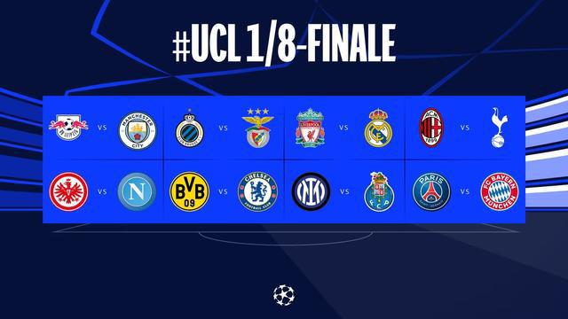 猫粮包装设计_东莞产品包装盒设计